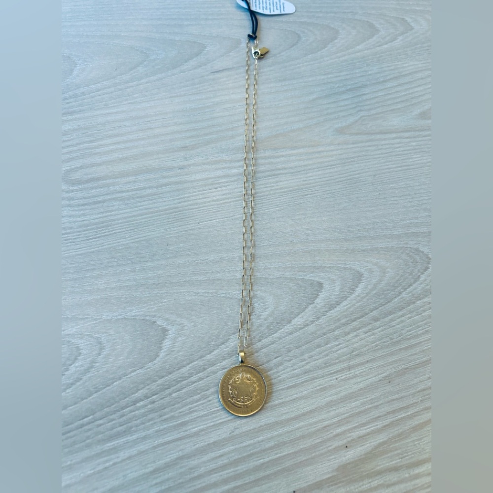 Electric Picks Jewelry Havana Necklace in Gold - DISCONTINUED